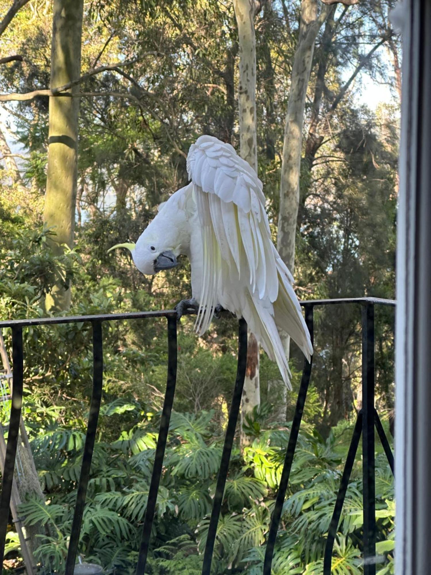 Palm Beach Bed & Breakfast エクステリア 写真