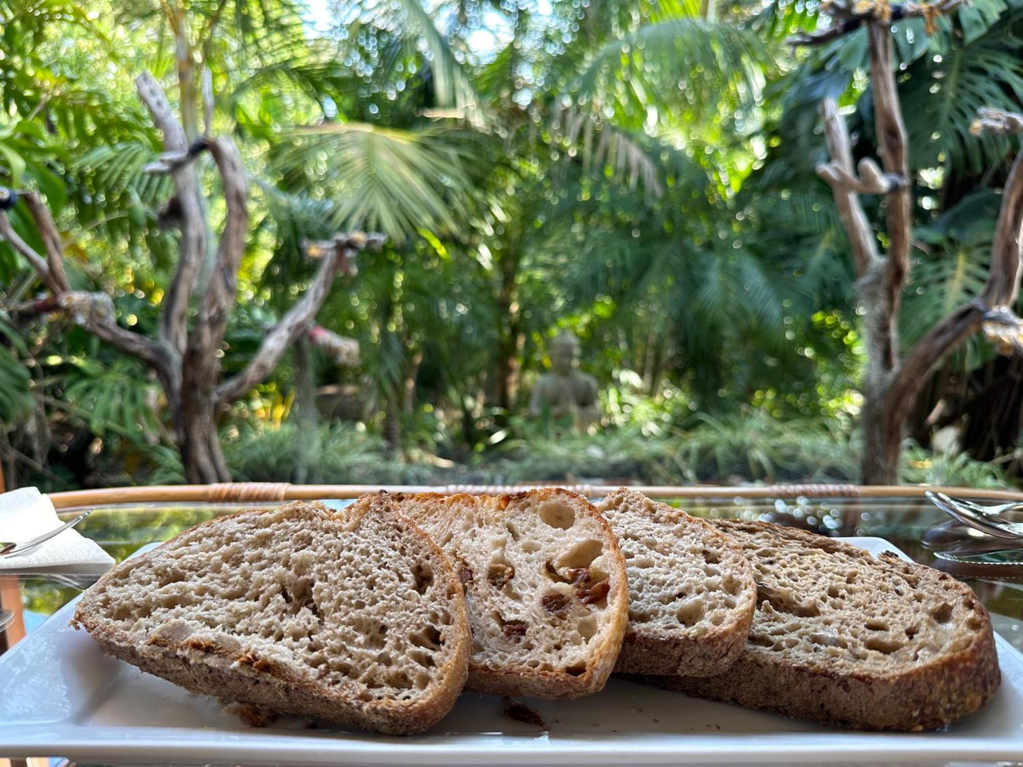 Palm Beach Bed & Breakfast エクステリア 写真