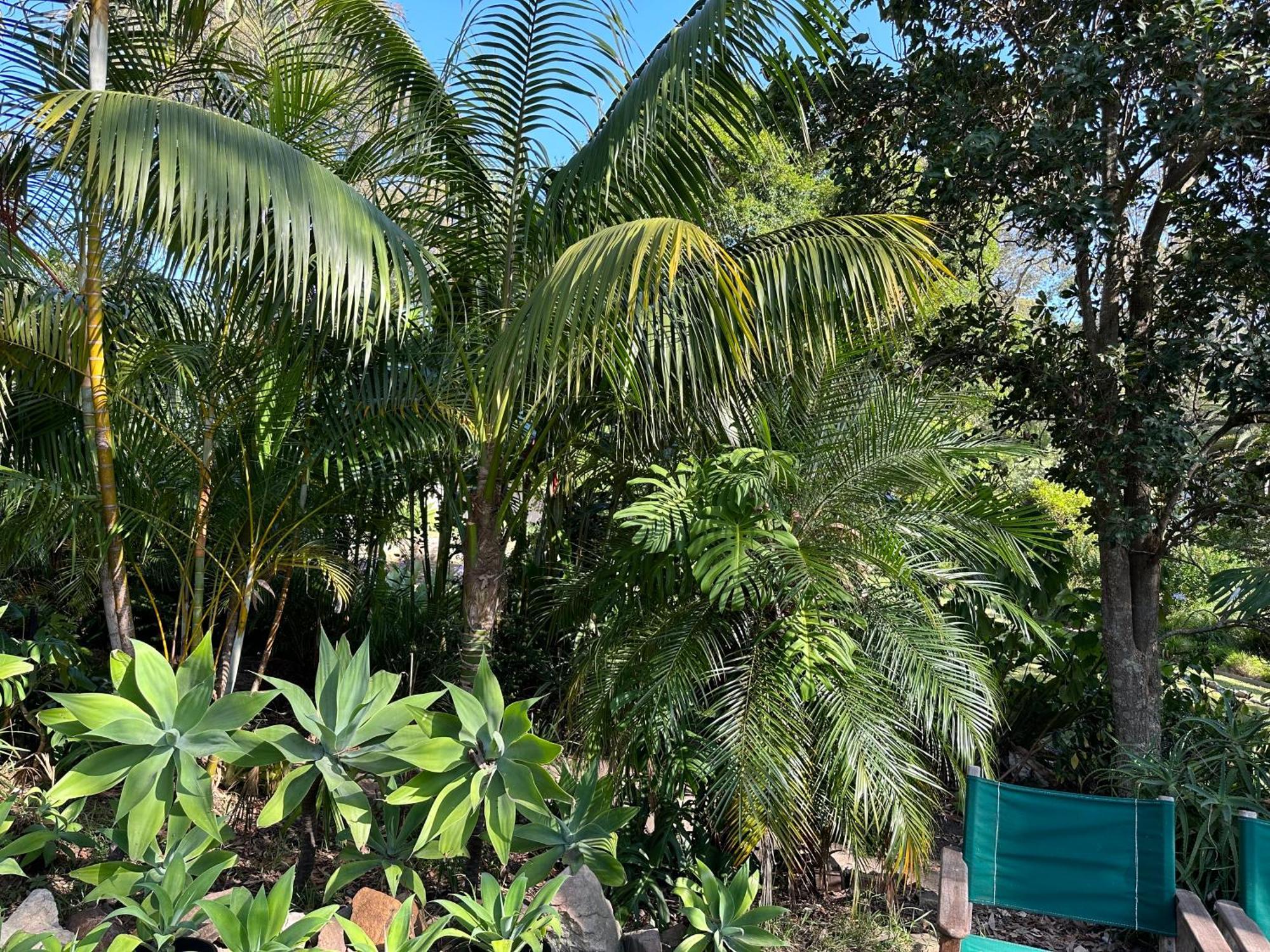 Palm Beach Bed & Breakfast エクステリア 写真